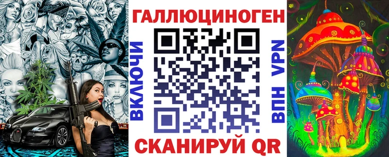 где можно купить наркотик  Терек  Псилоцибиновые грибы Psilocybine cubensis 