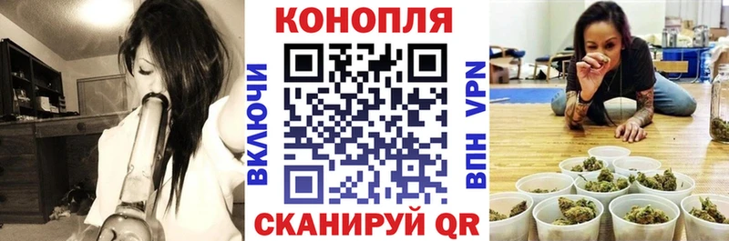 купить наркоту  hydra как войти  Бошки марихуана конопля  Терек 
